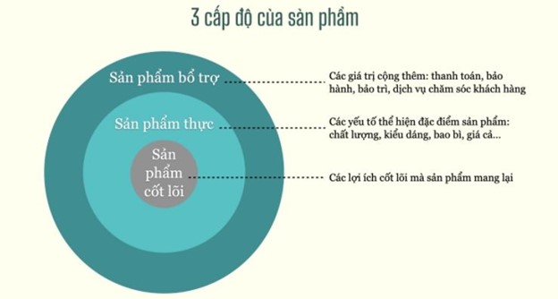 cá cược thể thao hul city